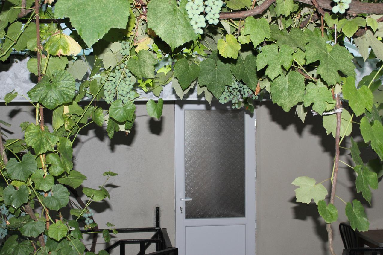 Mariko Hotel Borjomi ภายนอก รูปภาพ